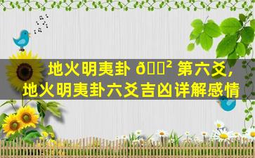 地火明夷卦 🌲 第六爻,地火明夷卦六爻吉凶详解感情